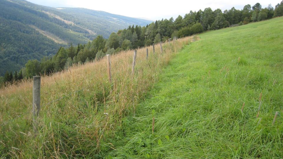 Lenke til artikkel: Ajourhold av AR5 og gårdskart