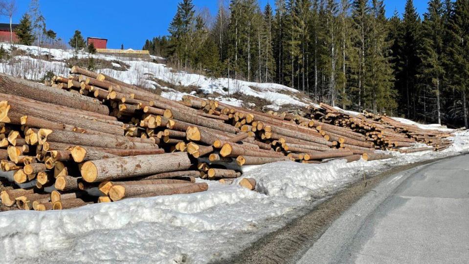 Lenke til artikkel: Høstseminar om kvalitetsvirke og framtidas skogforvaltning