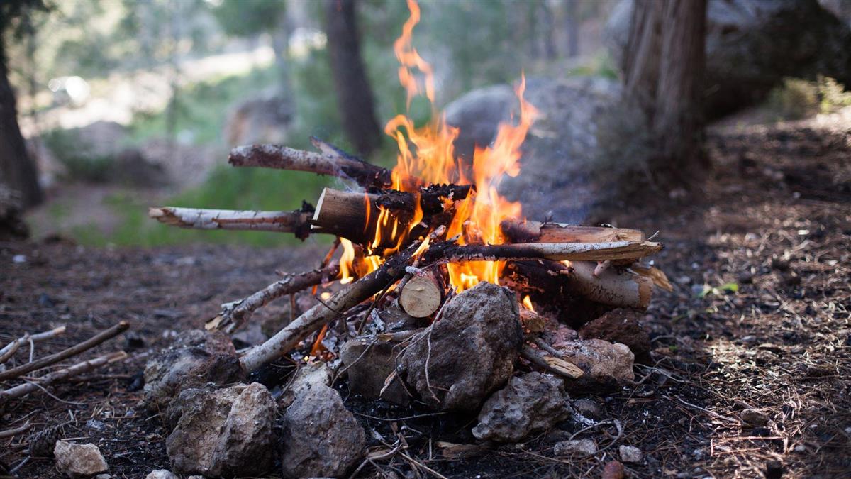 Bål i skogen - Klikk for stort bilde