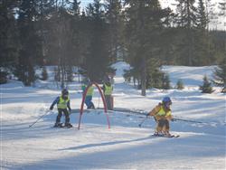 Klikk for stort bilde