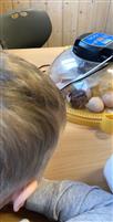 Klikk for stort bilde